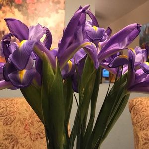 Meet your Posher, Kathleen